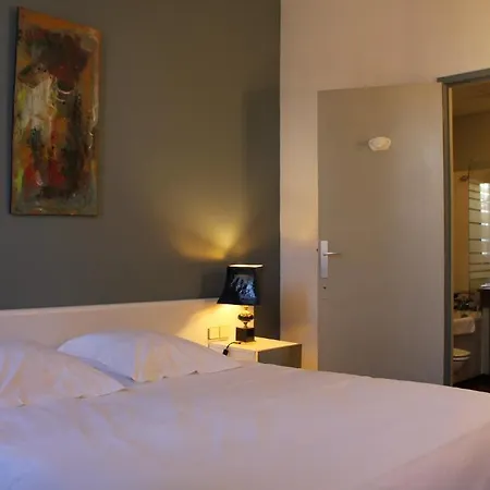 Hotel Au Pavillon Du Frene Lacaune Habitación foto
